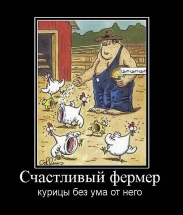 Веселые демотиваторы, приколы в каждом фото.