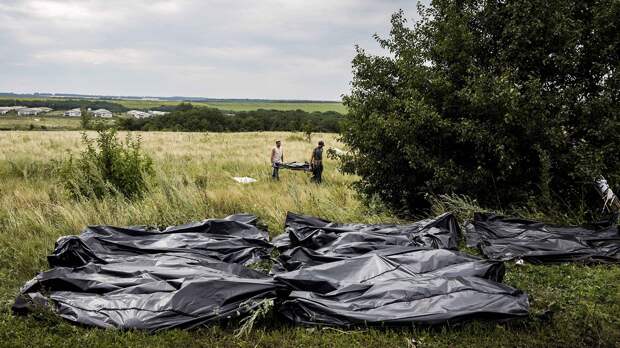 МИД РФ уличил следствие по MH17 в подгонке фактов под версию «виновности» Москвы МИД РФ уличил следствие по MH17 в подгонке фактов под версию «виновности» Москвы 