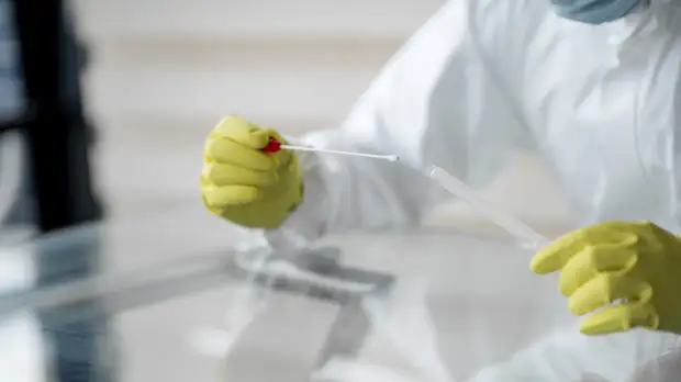 Эпидемиолог Бурцева высказалась о вероятности твиндемии гриппа и COVID-19 в России