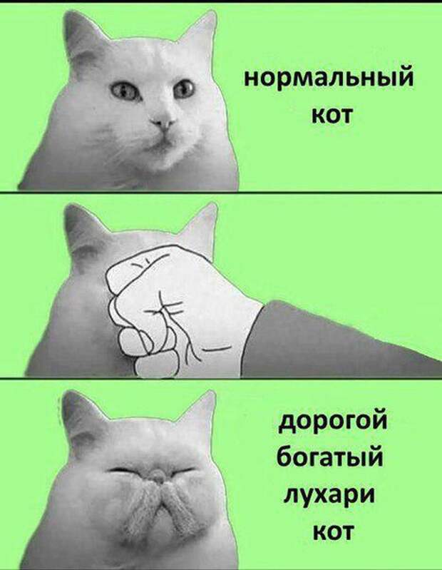 Подборка прикольных картинок на выходные (21 шт)