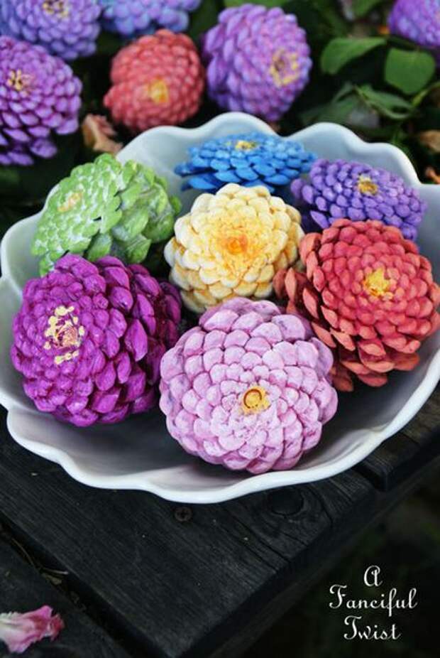 Pinecone flowers 4