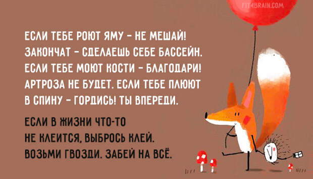 Совет дня советы, юмор