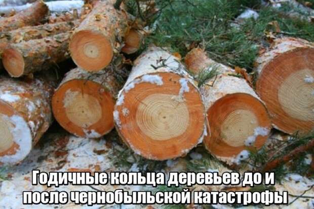 Неожиданные и необычные фото Неожиданные и необычные фото