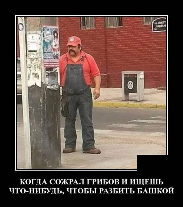 Демотиваторы (20 фото)