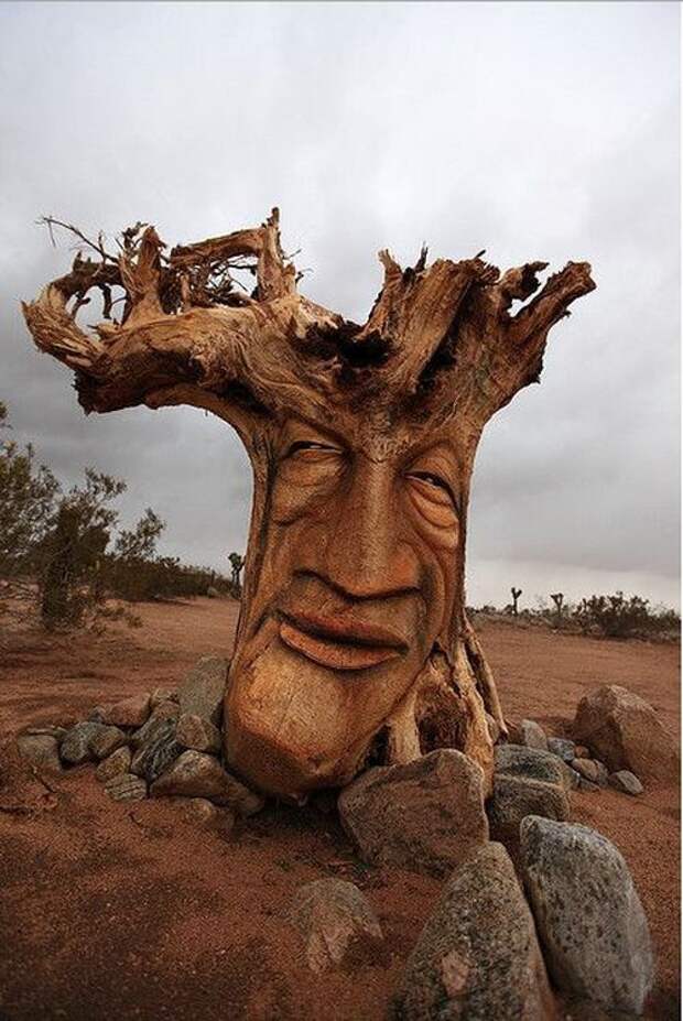 Что можно сделать из дерева? дерево, материал