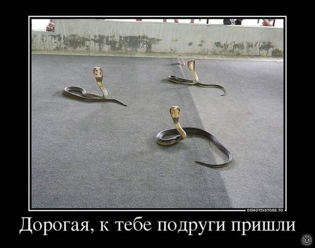Меняй себя сам! 14