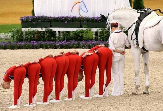 Конь тут явно лишний  девушки, прикол, юмор