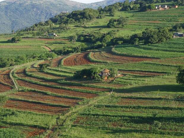 безвизовые страны