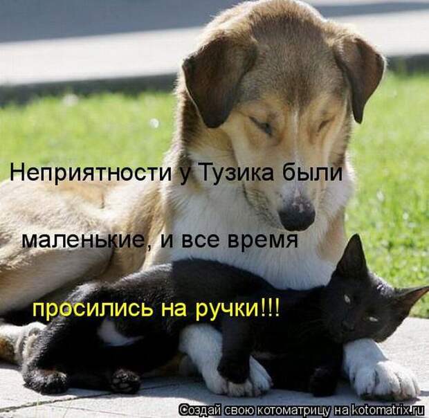 Мысли вслух :)