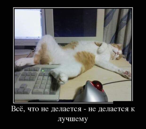 Демотиваторы демотиваторы, картинки, приколы