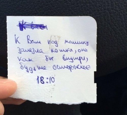 Автомир в прикольных картинках (28 фото)