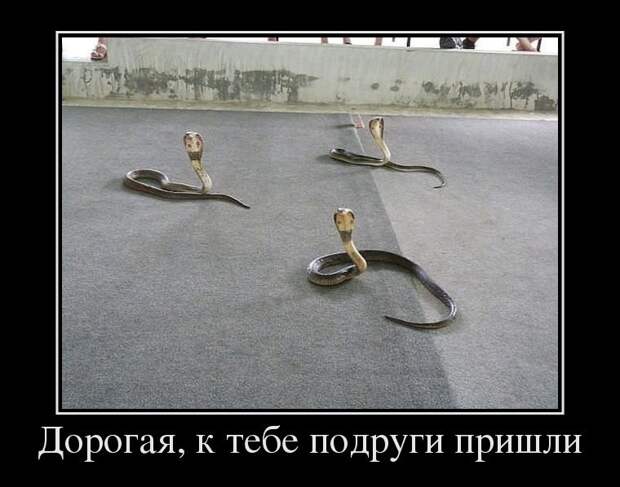 Cвежая порция демотиваторов Cвежая порция демотиваторов