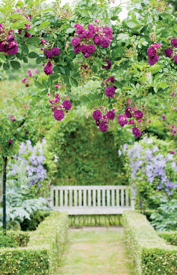 4497432_rosesingardenarchway5 (450x700, 167Kb)