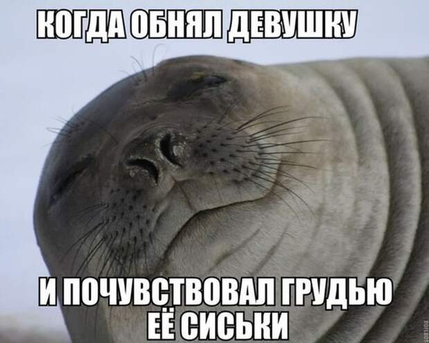 Картинки со смешными подписями