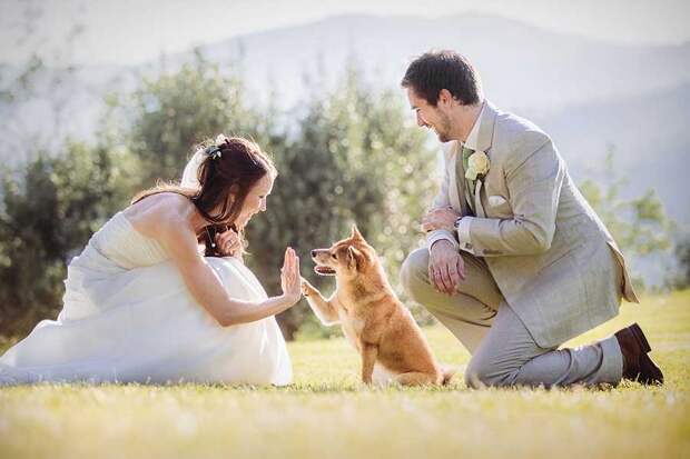80 лучших свадебных фотографий мира за 2015 год