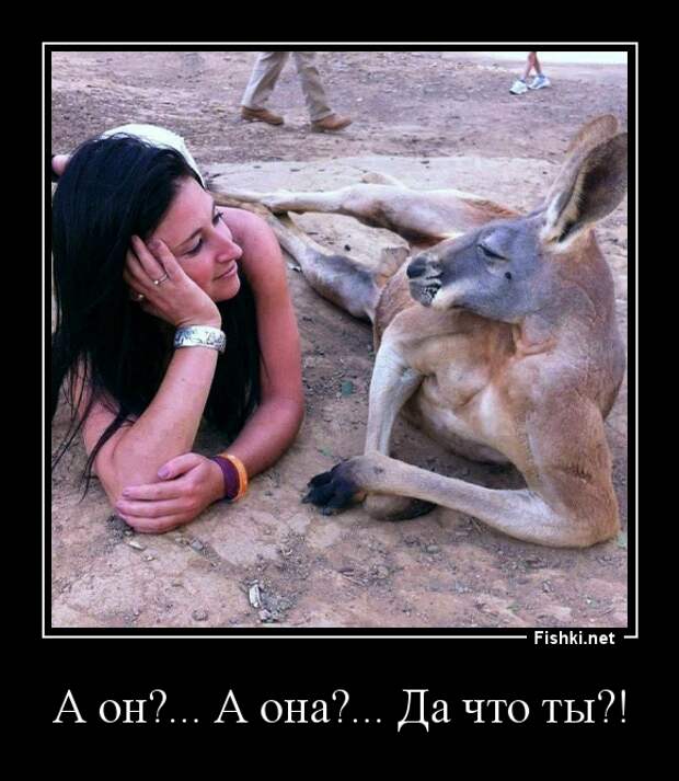 Демотиваторы демотиваторы
