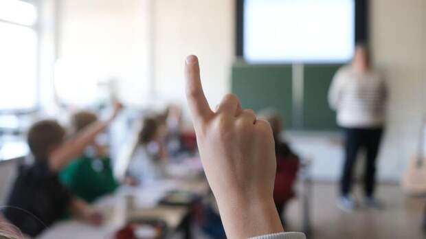 Учителя вынудили уволиться за показ детям видео с Трампом