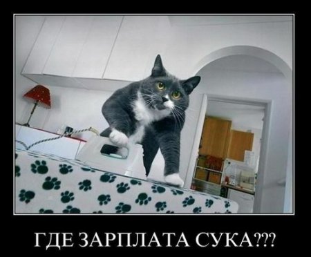 Демотиваторы классный юмор, позитив во всем.