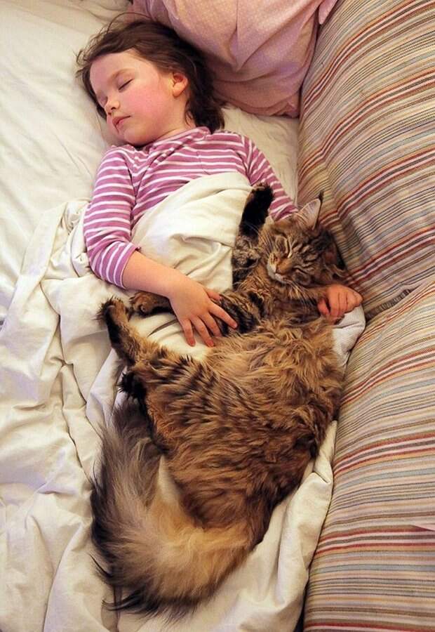 девочка и кошка