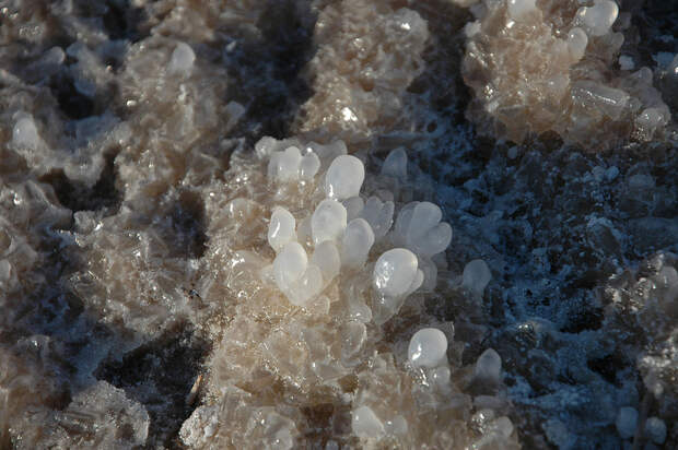 Соляные кристаллы Мертвого моря. Израиль. Фото