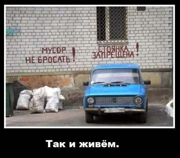 Просто смешные картинки с подписями Просто смешные картинки с подписями весело, с подписями, смешные картинки, юмор