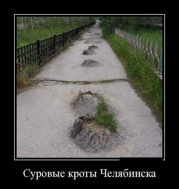 Фото, которые гарантированно поднимут вам настроение демотваторы, картинки, прикол, юмор