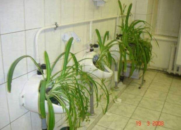 Такое может быть только в России (65 фото)