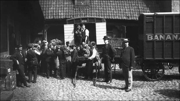 Норвегия впервые в истории получила партию бананов, 1905 Историческая фотография, история, факты