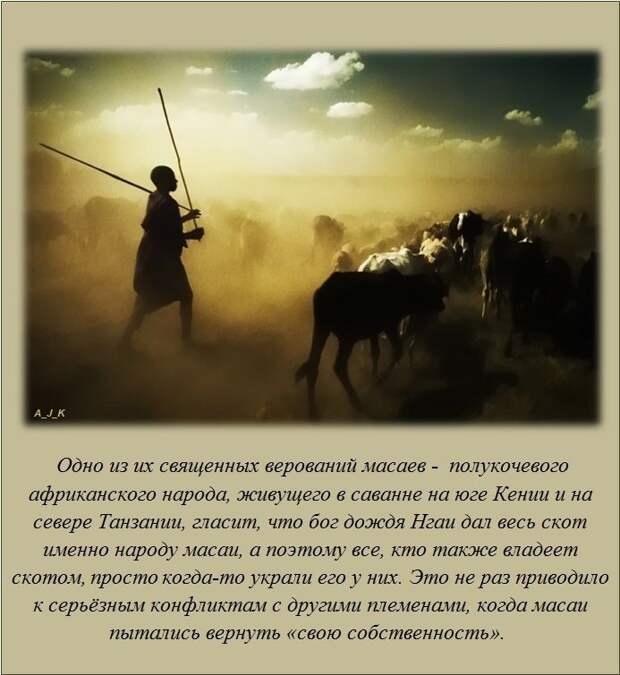 Интересное и познавательное факты, картинки, интересное