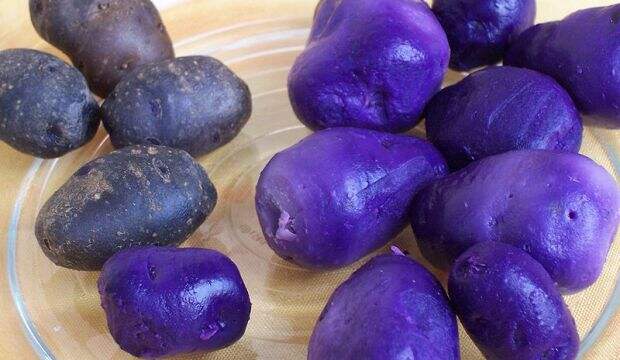 Новый фиолетовый и  красный картофель полон антиоксидантов