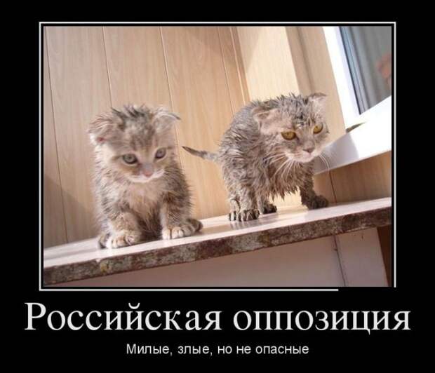 Демотиваторы Демотиваторы