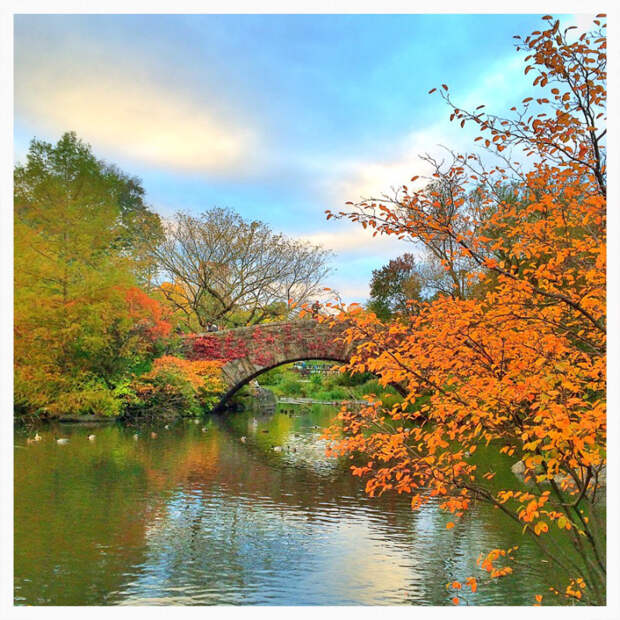 Central Park in Fall 3