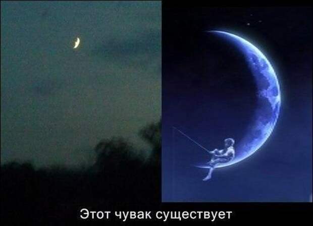 Картинки, юмор, приколы