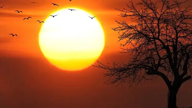 Врач напомнила об опасности активного солнца в мае