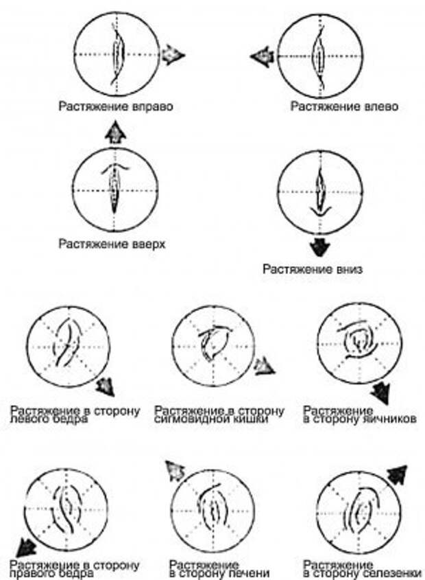 Форма пупка: диагностика заболеваний