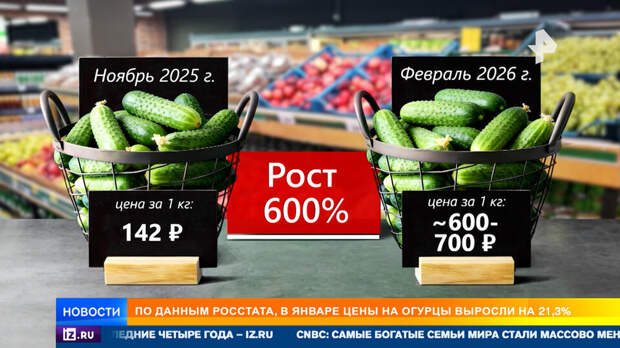 Овощная арифметическая прогрессия: почему цены на огурцы взлетели до небес