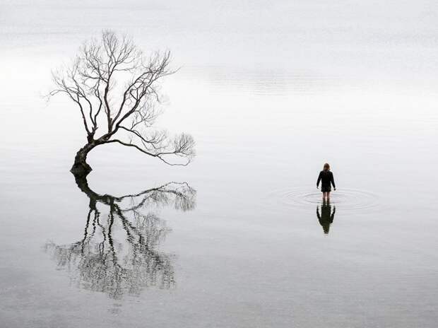 Лучшие фотографии от National Geographic октябре 2015