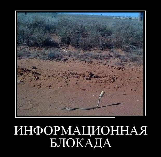 Демотиваторы демотиваторы, прикол, смех, юмор