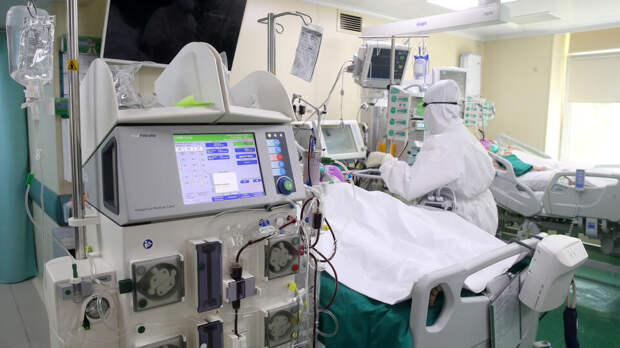 Онищенко оценил риски распространения вируса Нипах