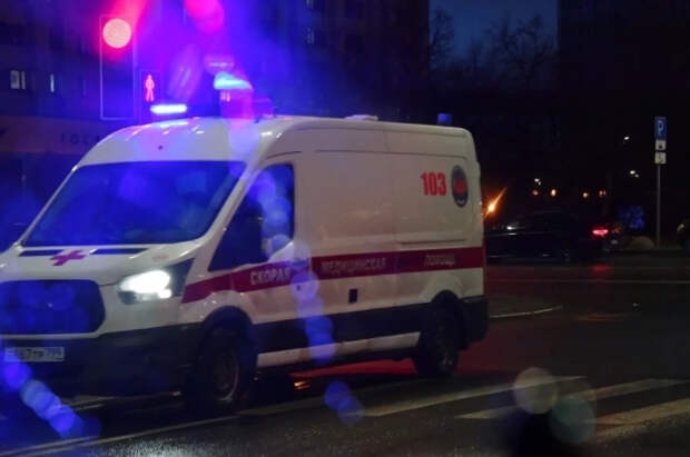 Роспотребнадзор опроверг данные о росте заболеваемости «мышиной лихорадкой»