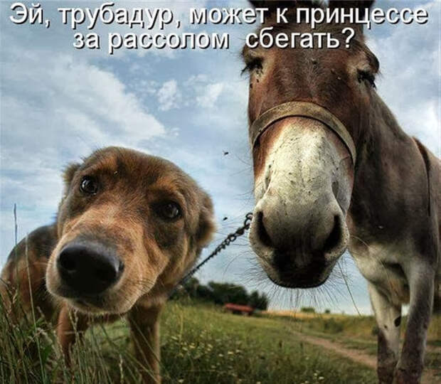 kotomatrix_05