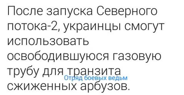 Юмор помогает пережить демократию: Украинский резиновый флот