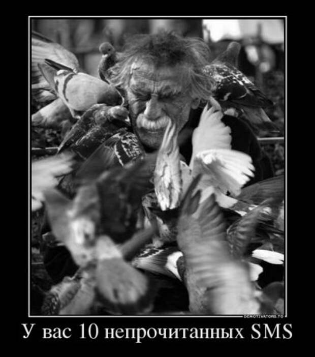 Демотиваторы это полезные приколы.