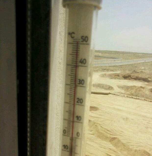 Прикольные картинки (102 фото)