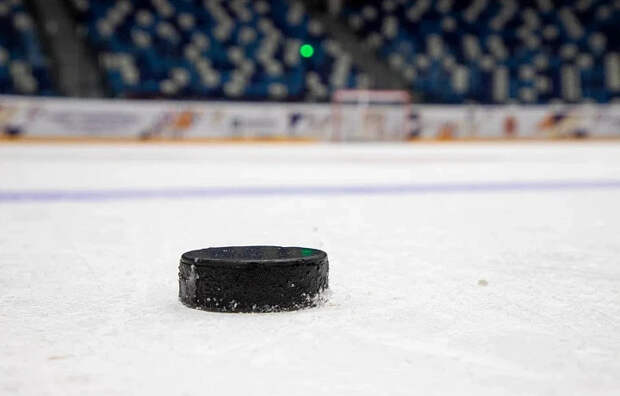 В Туле начали поиск подрядчика для строительства ледовой арены в Петровском