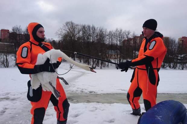 Спасение лебедя. Фото: пресс-служба МЧС ЮВАО