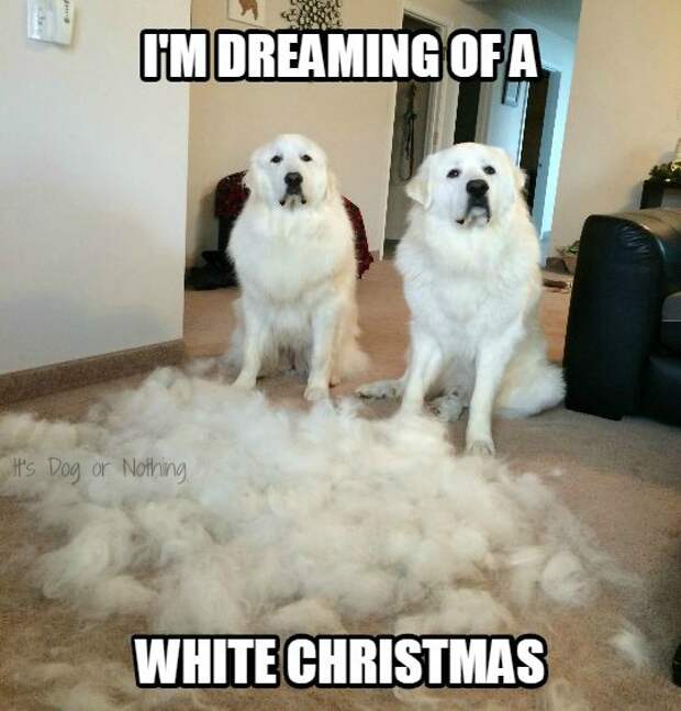 WhiteChristmas