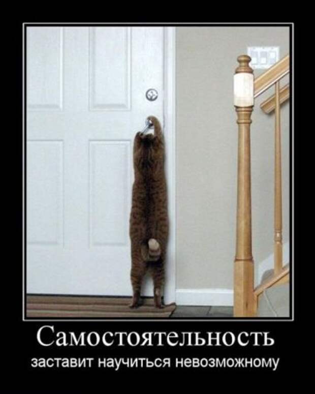 Демотиваторы смысл есть их посмотреть.
