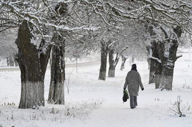 Погода 17 января: снег и мороз