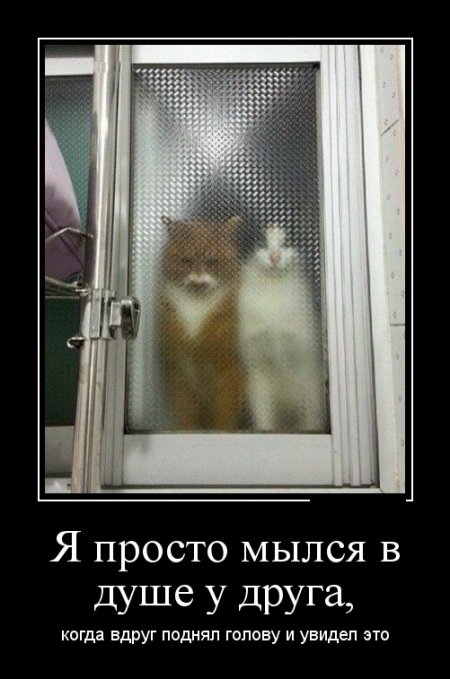 Демотиваторы прикольные советую посмотреть.
